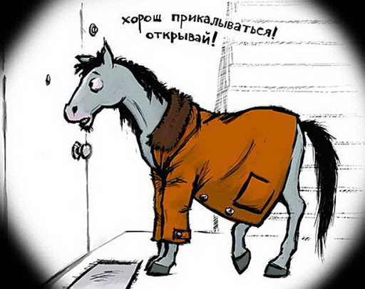 1 апреля: лучшие розыгрыши, приколы и картинки