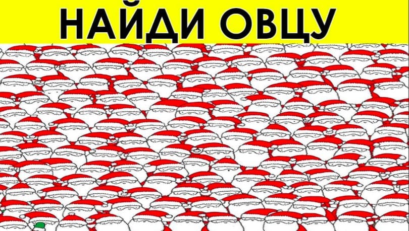 Загадки и ребусы: чем занять себя на карантине и как повеселить друзей (фото)