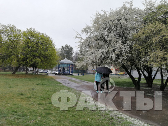 Дожди и температурные качели: синоптики дали прогноз погоды в Украине до конца текущей недели