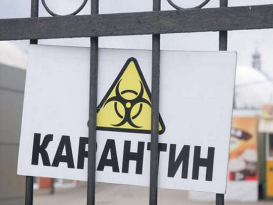 Карантин не для всех: Схемы рассказали о полетах Медведчука, Новинского, Коломойского
