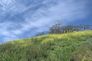 Пляж в Крыжановке: плюсы, минусы и как проходит подготовка к туристическому сезону 