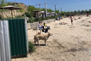 Пляж в Крыжановке: плюсы, минусы и как проходит подготовка к туристическому сезону 