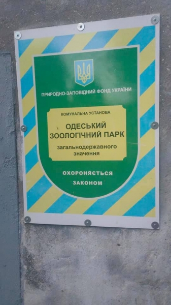 Реабилитационный центр Одесского зоопарка пополнился цаплей и осоедом 