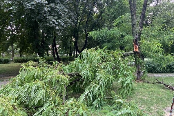 Град размером с яблоко: Одесскую область накрыли ливни