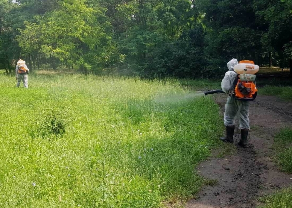 В Одессе на месяц раньше начали борьбу с амброзией. Фото