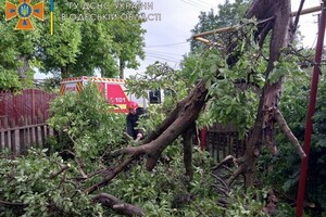 Град размером с яблоко: Одесскую область накрыли ливни