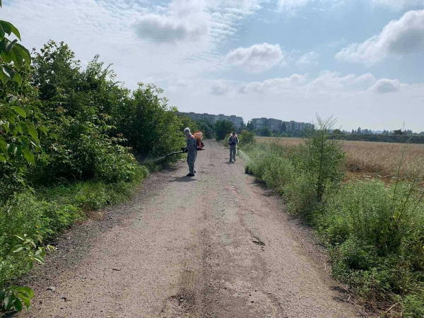 В Одессе на месяц раньше начали борьбу с амброзией. Фото