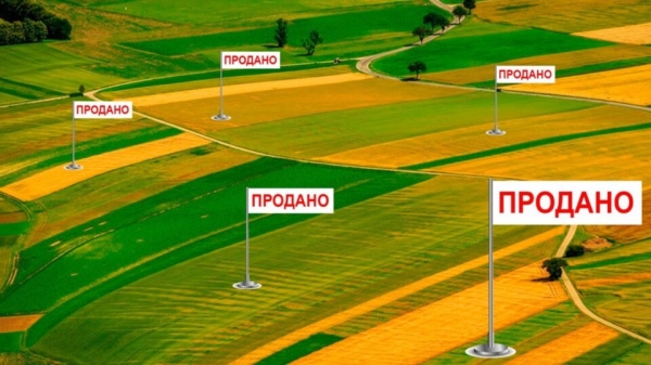 Открытие рынка земли: алгоритм продажи участка