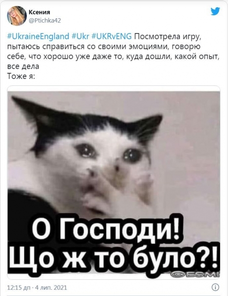 Соцсети бурно отреагировали на разгромное поражение сборной Украины