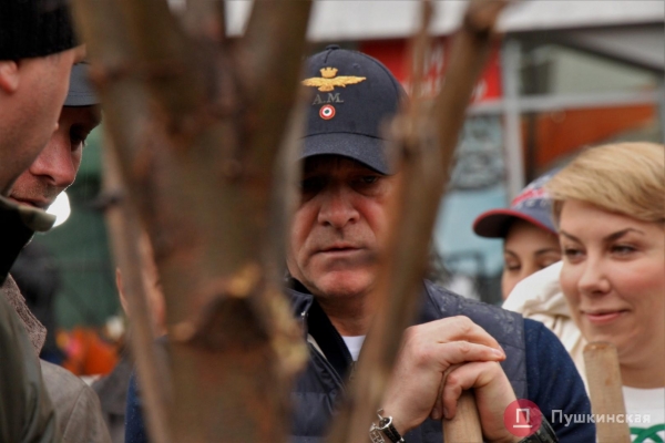 У одесского «Привоза» высадили первые 28 акаций из обещанной мэром тысячи. Фото