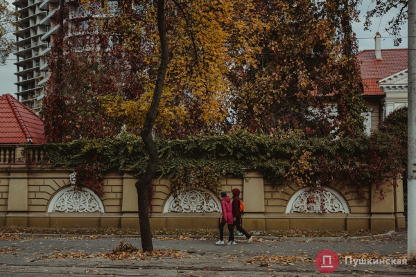 Золотое покрывало с красными оттенками: в Одессу пришла осень, которой хочется любоваться. Фоторепортаж