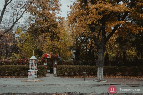 Золотое покрывало с красными оттенками: в Одессу пришла осень, которой хочется любоваться. Фоторепортаж