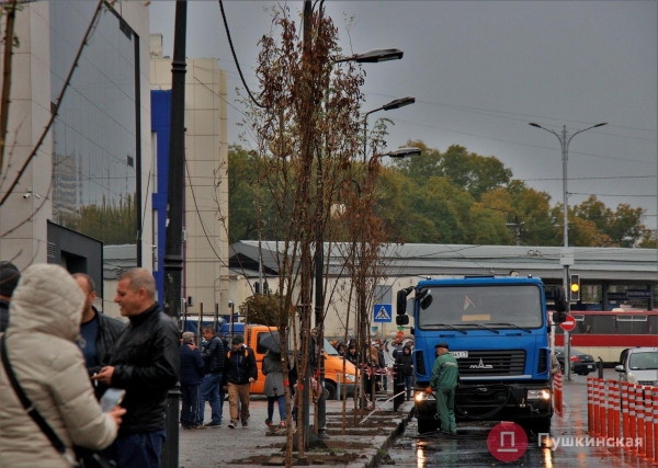 У одесского «Привоза» высадили первые 28 акаций из обещанной мэром тысячи. Фото