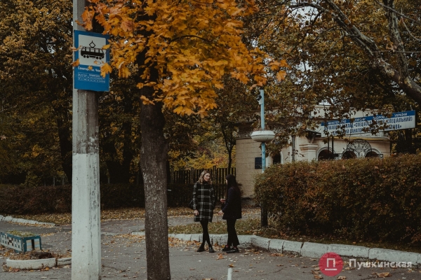 Золотое покрывало с красными оттенками: в Одессу пришла осень, которой хочется любоваться. Фоторепортаж