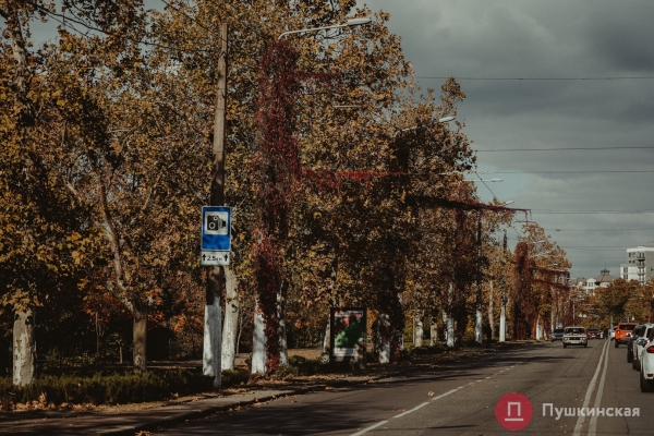 Золотое покрывало с красными оттенками: в Одессу пришла осень, которой хочется любоваться. Фоторепортаж