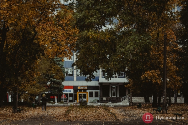 Золотое покрывало с красными оттенками: в Одессу пришла осень, которой хочется любоваться. Фоторепортаж