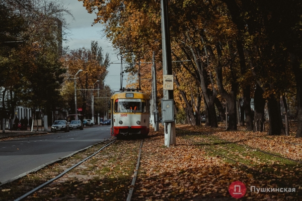 Золотое покрывало с красными оттенками: в Одессу пришла осень, которой хочется любоваться. Фоторепортаж