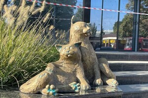 Еще одна достопримечательность: у "Привоза" открыли новых котов