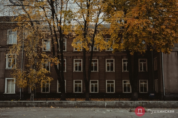 Золотое покрывало с красными оттенками: в Одессу пришла осень, которой хочется любоваться. Фоторепортаж