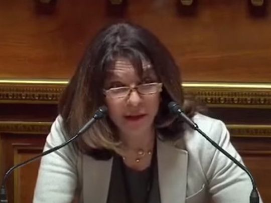 Французька сенаторка Гуле під час дебатів підняла тему позасудових розправ з телеканалами в Україні