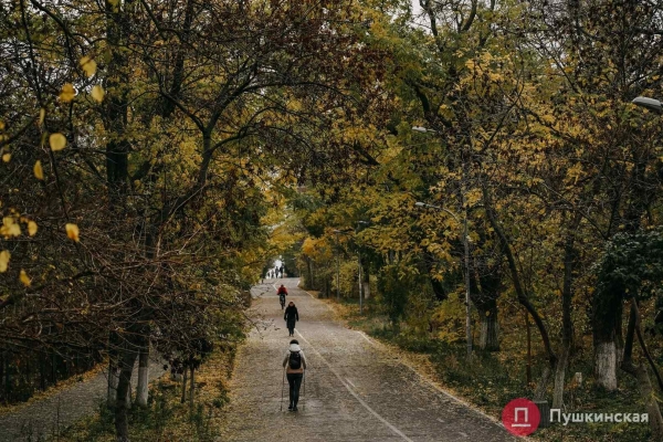 Золотая листва, море и абсолютный покой: прогулка по осенней Трассе здоровья. Фоторепортаж
