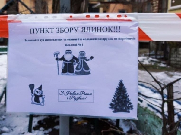  У Труханова рассказали, где можно оставить ненужную ёлку и получить за это конфету