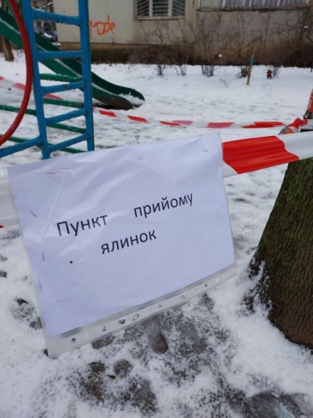  У Труханова рассказали, где можно оставить ненужную ёлку и получить за это конфету
