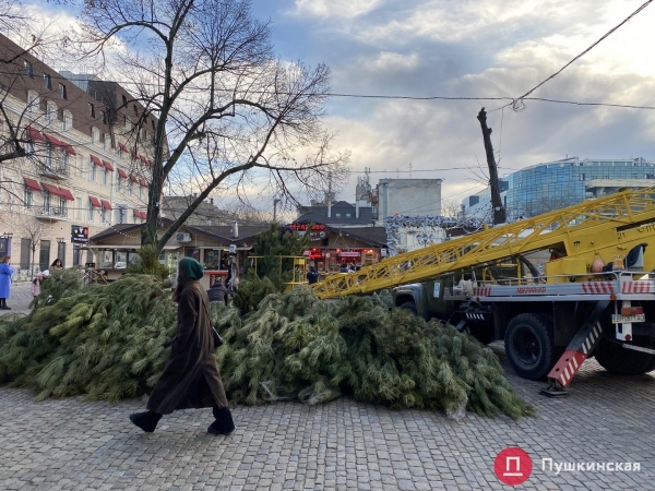На Дерибасовской устанавливают елку: как это происходит. Фото