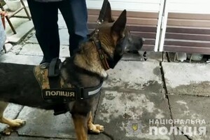 В Одессе мужчина убил свою мачеху кухонным ножом 
