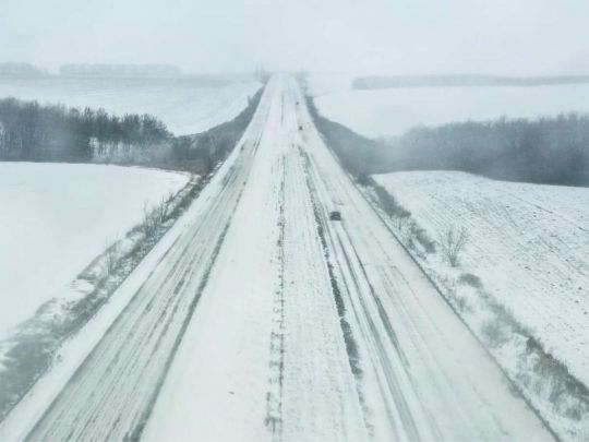 Знеструмлені населені пункти та світлофори, зледеніла контактна мережа, деревопад: у Дніпрі та Одесі розгулялася стихія
