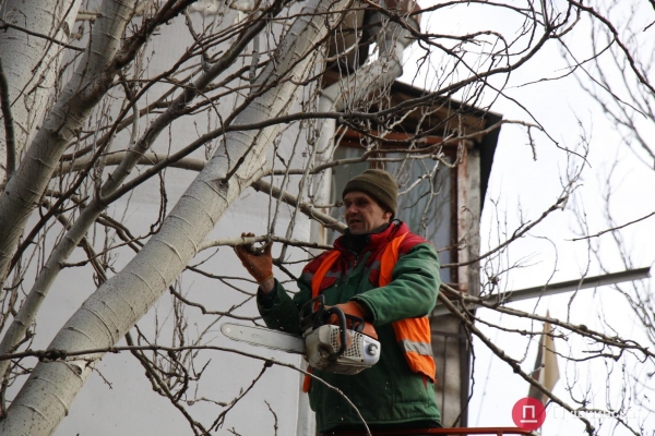 Коммунальные службы начали генеральную уборку и инвентаризацию дворов Одессы: зачем это нужно. Фото