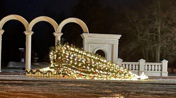 Деревопад в Украине: мощный ветер повалил новогодние елки. Фото