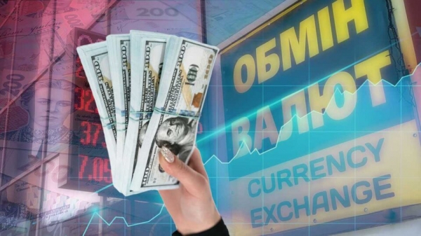 Экономисты объяснили, почему не стоит скупать доллары на фоне паники