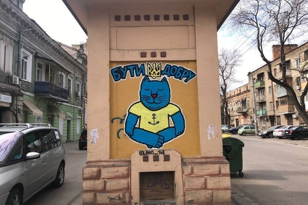 На улицах Одессы продолжают появляться граффити с котами-патриотами