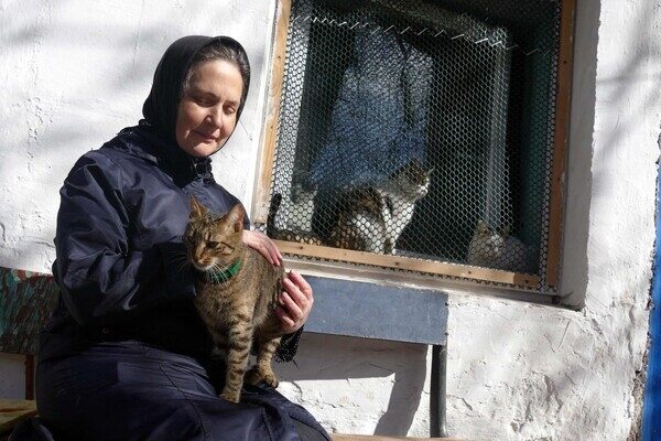 В одесском монастыре помогают котам-беженцам (фото) В одесском монастыре помогают котам-беженцам (фото)