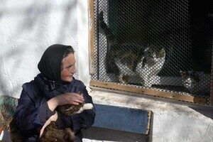 В одесском монастыре помогают котам-беженцам (фото) В одесском монастыре помогают котам-беженцам (фото)