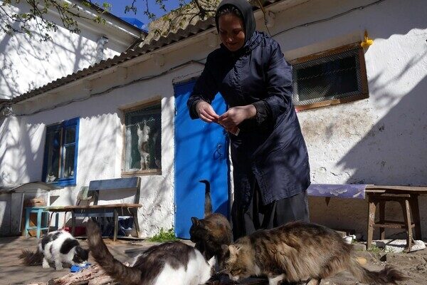 В одесском монастыре помогают котам-беженцам (фото) В одесском монастыре помогают котам-беженцам (фото)