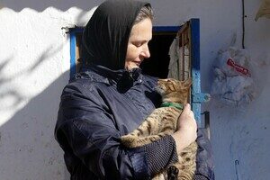 В одесском монастыре помогают котам-беженцам (фото) В одесском монастыре помогают котам-беженцам (фото)
