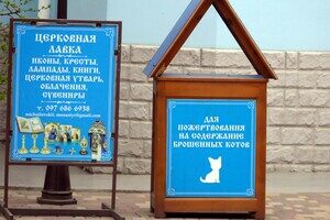 В одесском монастыре помогают котам-беженцам (фото) В одесском монастыре помогают котам-беженцам (фото)