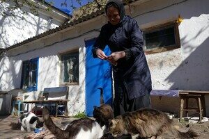 В одесском монастыре помогают котам-беженцам (фото) В одесском монастыре помогают котам-беженцам (фото)