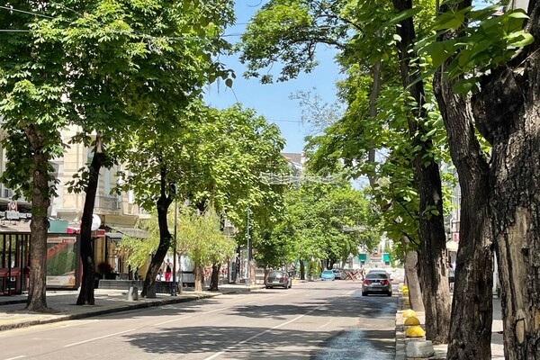 Освободили проход к Оперному, но Приморский еще закрыт: где теперь можно гулять в центре Одессы