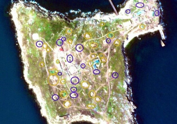 Много российской техники, но меньше кораблей: какая обстановка на Змеином и в море