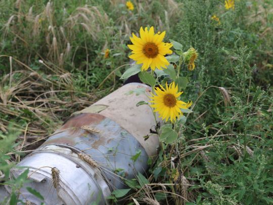 Останні дні «африканської» спеки: похолодання йде в Україну з дощами
