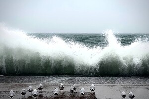 Снегопад и шторм на море: как удивляла погода в Одессе последние дни 
