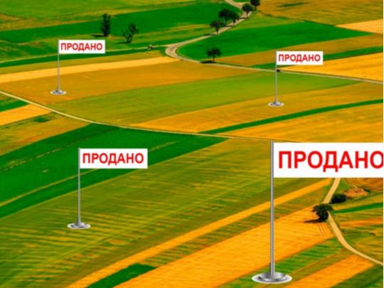 ЗМІ з'ясували, за якими «схемами» сім'я «слуги народу» Романька отримала 100 земельних ділянок