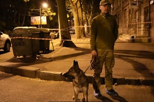 Расчленил и разбросал части тела в мусорных баках: в Одессе задержали подозреваемого в убийстве матери