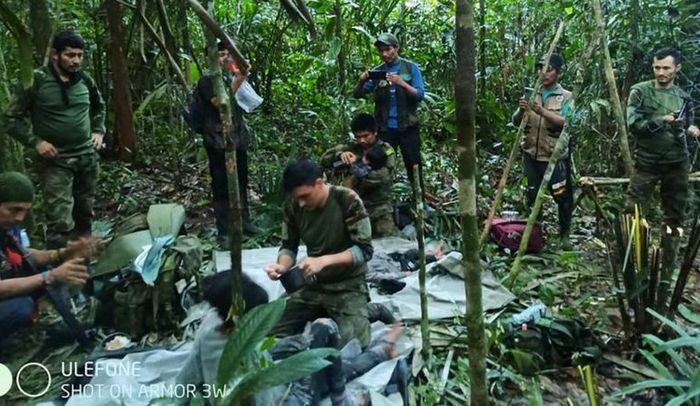 Жували борошно і&nbsp;підніжний корм: подробиці виживання дітей, які провели 40 днів у&nbsp;джунглях після авіакатастрофи