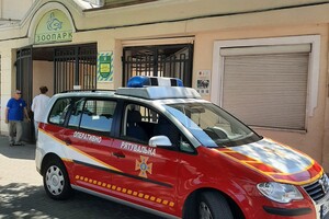 В Одессе спасли двух лебедей, которые упали на крышу частного дома