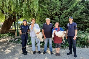 В Одессе спасли двух лебедей, которые упали на крышу частного дома