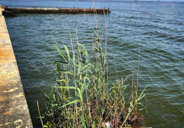 Свежий мониторинг воды в Одессе: что обнаружили и можно ли купаться в море